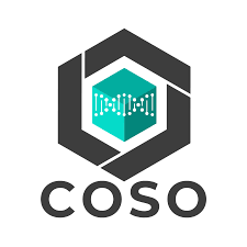 COSO Framework